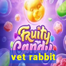 vet rabbit